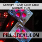 Kamagra 100Mg Gelée Orale Sildénafil 5Gm 15